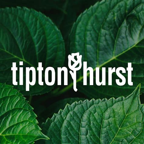 Tipton hurst - Specialties: Tipton & Hurst, voted Arkansas’s Best florist and gift gift retailer with 5 locations offering “Guaranteed Satisfaction Since 1886”. From fresh flowers to plants, seasonal, holiday and home décor and gifts and complete bridal registry for tabletop. Our award winning knowledgeable staff will help you find exactly what you're needing for any …
